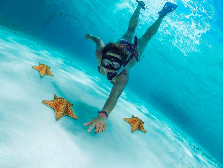 Cozumel se prepara para recibir a casi 120,000 cruceristas en la primera semana de enero de 2025