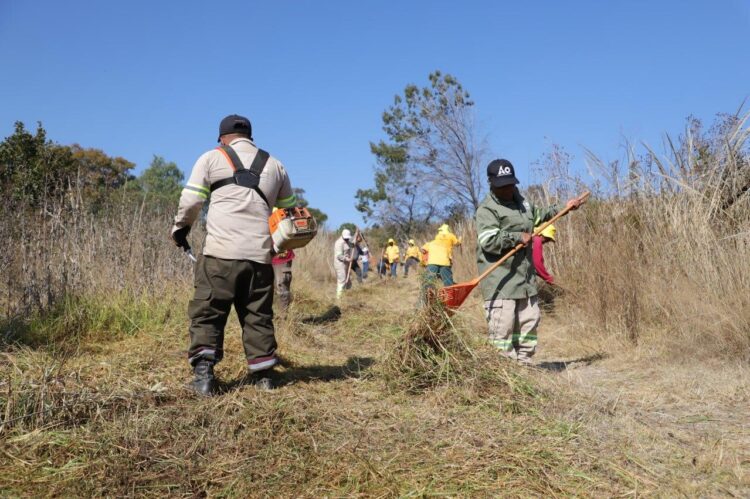 HABILITA ALCALDÍA ÁO CORTAFUEGOS EN PRESA TARANGO
