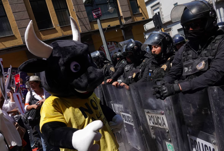 Diputados adelantan sesión para discutir corridas de toros