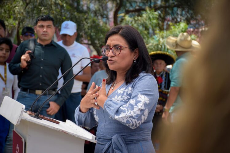 Seguridad, tema prioritario en Iztapalapa: Aleida Alavez