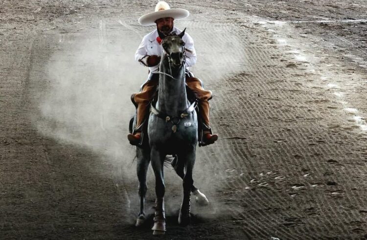 Urge Congreso garantizar el cuidado de animales en la charrería