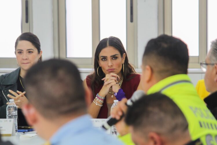 Alessandra Rojo, la degradación del servicio institucional