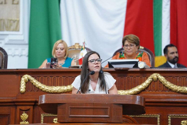 Uniformes de brigadas de SOBSE promueven colores de Morena