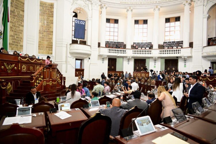 Alcaldías tendrán unidades de cuidado para seres sintientes