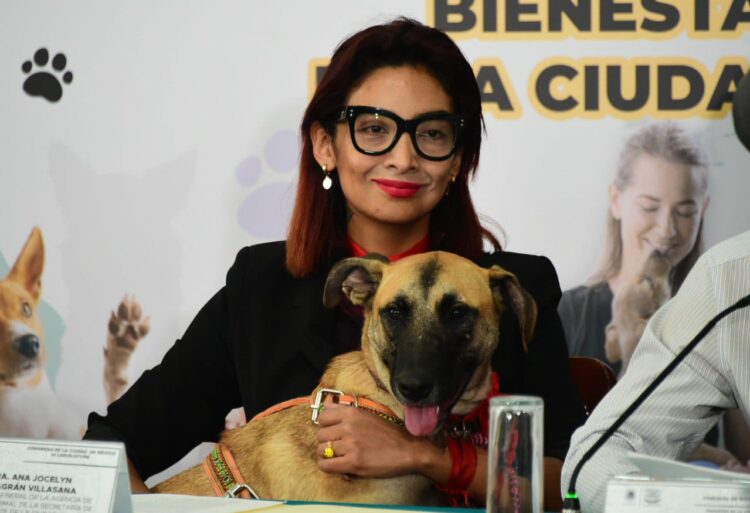 ¡Los Ojos de la Capital!