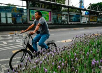 Ciclistas en peligro en la CDMX, alerta diputado