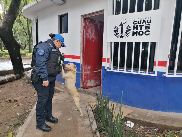 Abandonan a perrita en Parque México