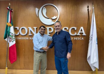 ¡Los Ojos de la Capital!