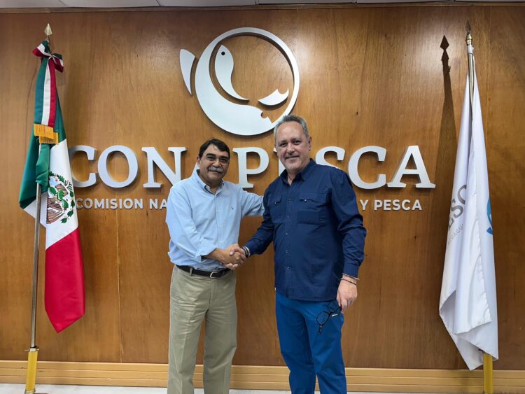 ¡Los Ojos de la Capital!