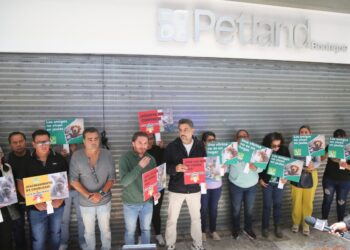 Crueldad en venta: el negocio de las mascotas