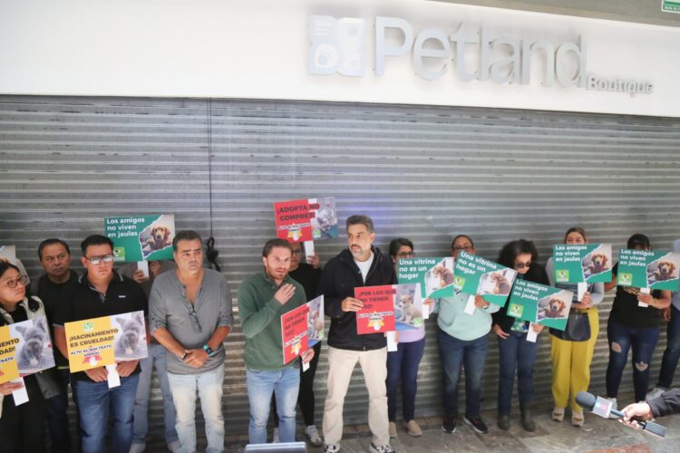 Crueldad en venta: el negocio de las mascotas