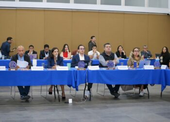 La oposición invisible intenta levantar la voz en un Congreso oficialista