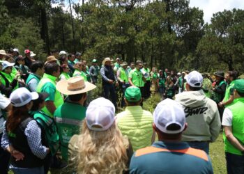 «Un voto, un árbol», PVEM cumple promesa y reforesta Tlalpan