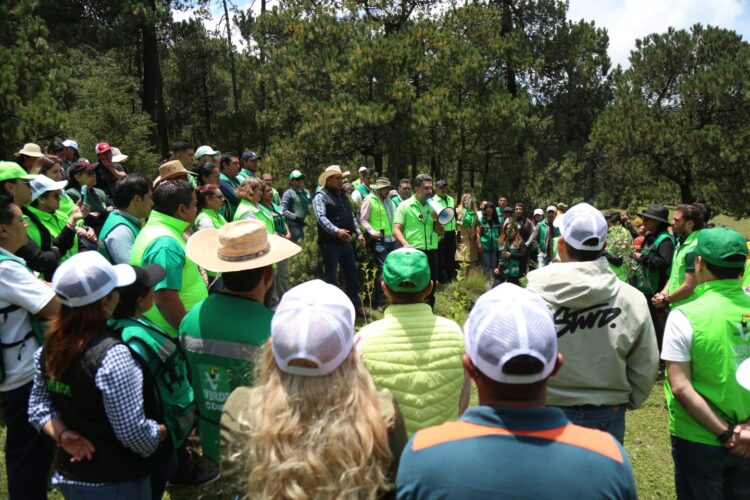 «Un voto, un árbol», PVEM cumple promesa y reforesta Tlalpan