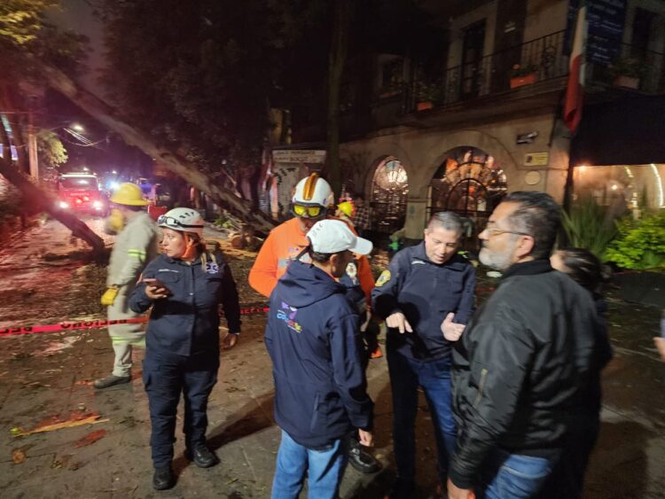 Árboles caídos y vialidades afectadas en Coyoacán tras intensa lluvia