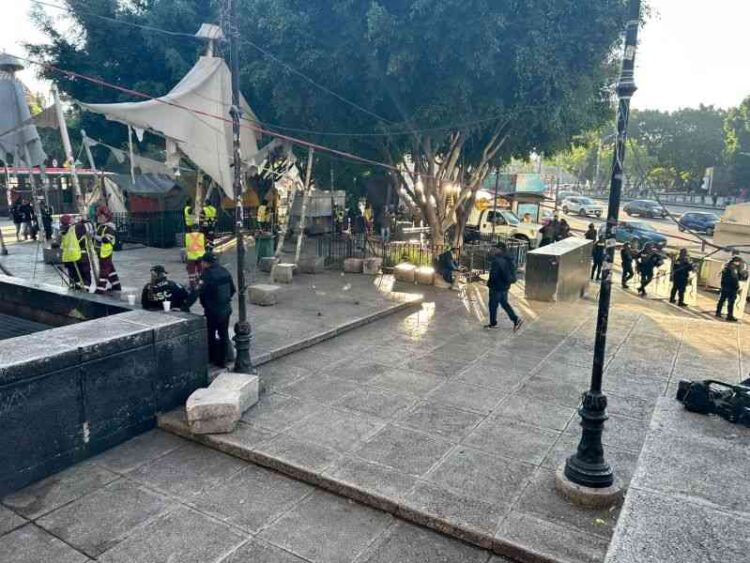 Puntos cannábicos: Tolerancia bajo custodia