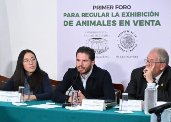 Animales en vitrinas bajo escrutinio legal