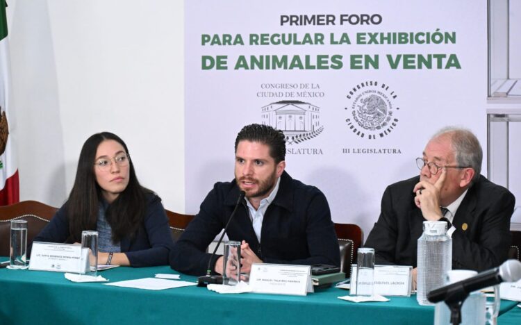 Animales en vitrinas bajo escrutinio legal