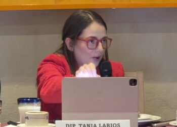 PRI asegura que las coaliciones son clave para frenar a Morena