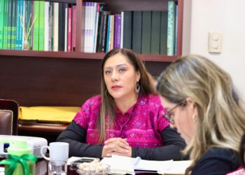 Diputada Xóchitl Bravo exige respeto absoluto a derechos en CDMX