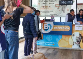 Benito Juárez reafirma su compromiso con el bienestar animal