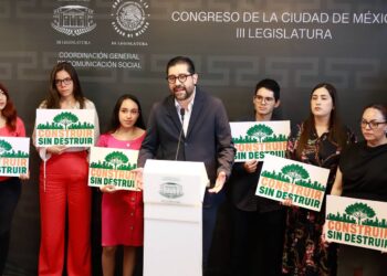 Va MC por impedir obras cuando haya tala árboles