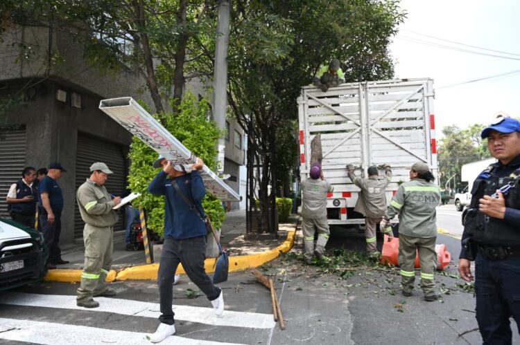 ¡Manos a la Obra! Ale Rojo de la Vega transforma la Colonia Buenos Aires