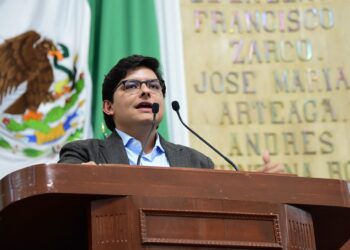 Exigen a Coyoacán informar sobre cuidado de árboles