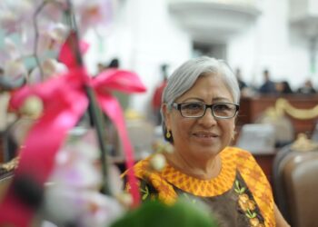 Propone diputada nueva ley para frenar violencia en Xochimilco