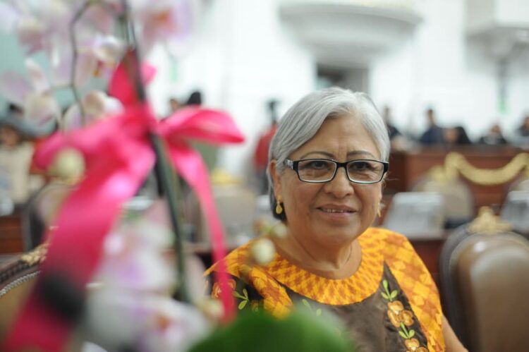 Propone diputada nueva ley para frenar violencia en Xochimilco