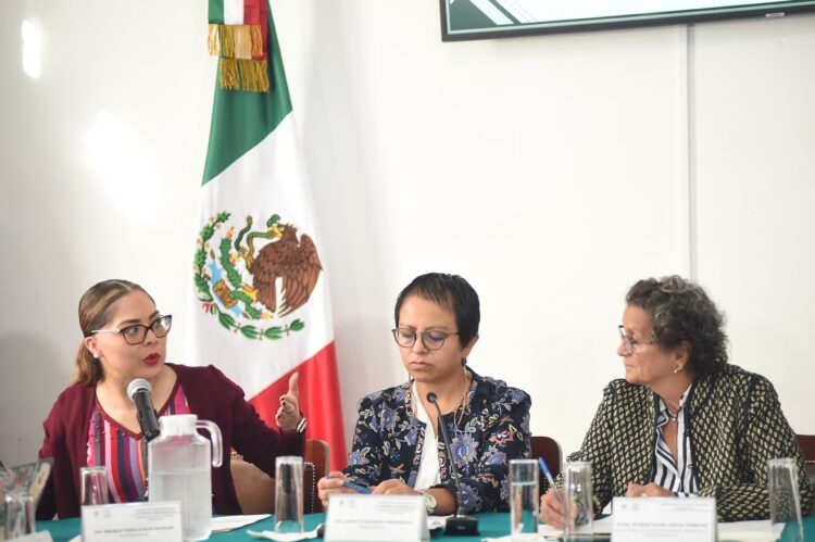 Morena reconoce liderazgo de Myriam Urzúa en gestión de riesgos