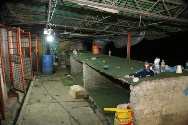 Rescate “histórico” o desalojo cuestionado: crecen críticas al Gobierno CDMX por retiro masivo de perros del Refugio Franciscano