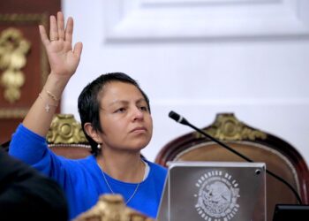 Caso Albergue Franciscano exhibe vacío de control en refugios animales de la CDMX, advierte diputada