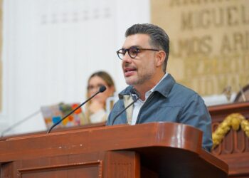 Crueldad animal en México desata propuesta nacional para cambiar la educación