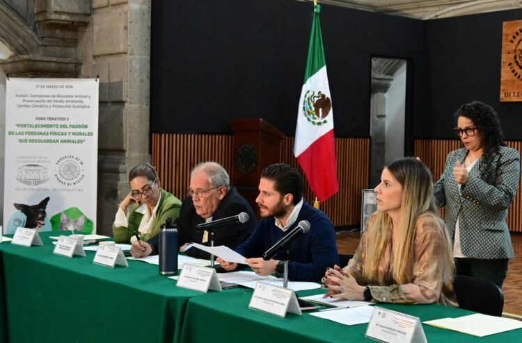 “Duele el abandono”: buscan registro obligatorio de rescatistas en CDMX para frenar crisis animal