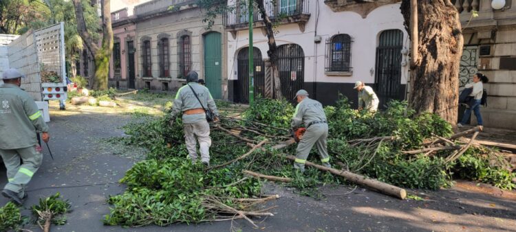 Retiran casi 2 mil toneladas de basura y desazolvan drenaje en Cuauhtémoc