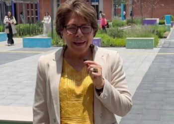 Cuidado ya es un derecho en CDMX: Martha Avila