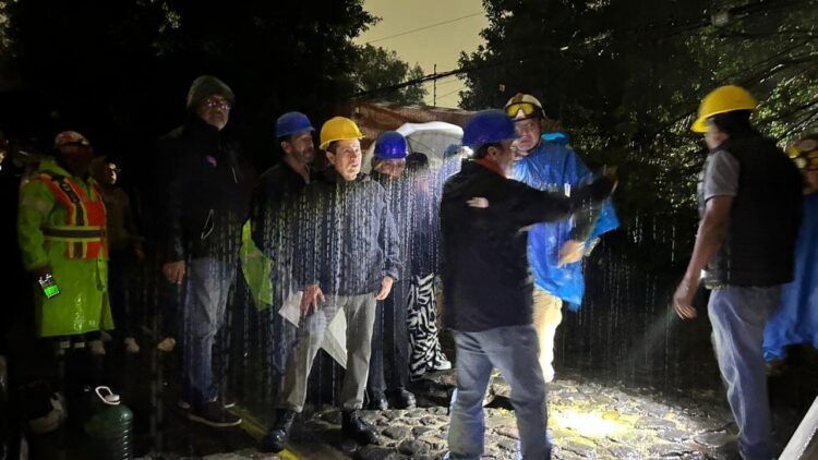 Árbol derriba seis postes y desata emergencia en Coyoacán