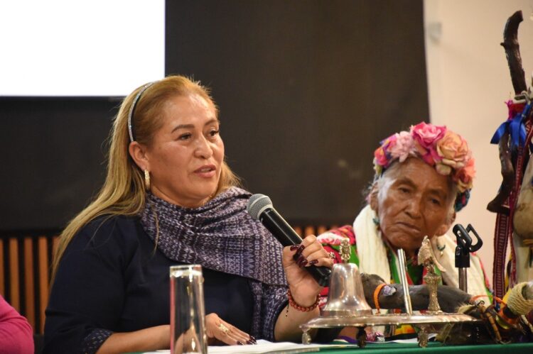 Pueblos originarios toman la palabra en el Congreso
