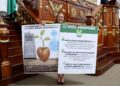 El Verde va por blindaje a semillas nativas en CDMX