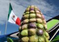 CDMX va por más maíz y tortillerías nativas