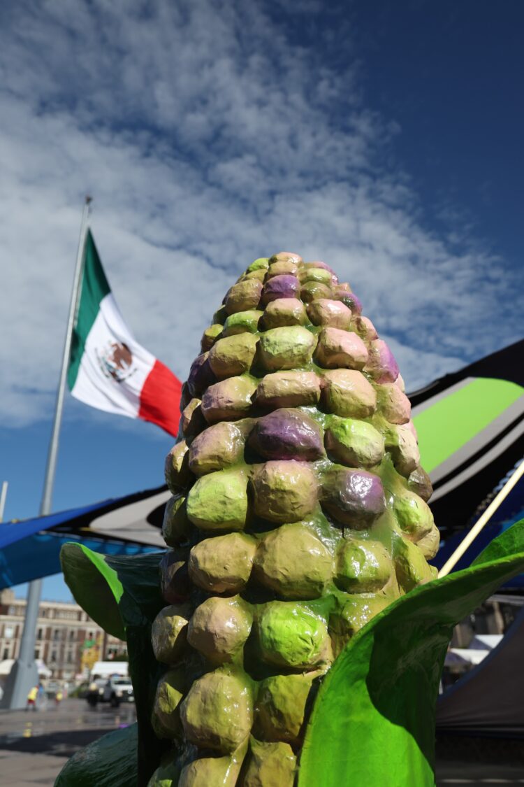 CDMX va por más maíz y tortillerías nativas